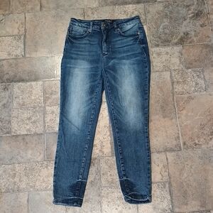 Judy Blue Skinny fit jeans size 9/29